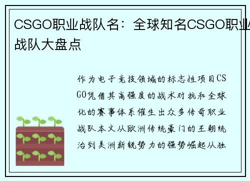 CSGO职业战队名：全球知名CSGO职业战队大盘点