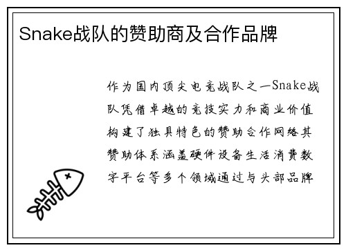 Snake战队的赞助商及合作品牌