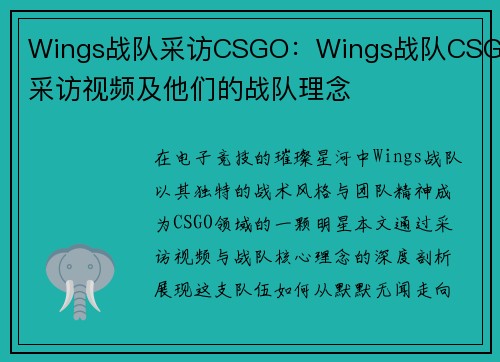 Wings战队采访CSGO：Wings战队CSGO采访视频及他们的战队理念